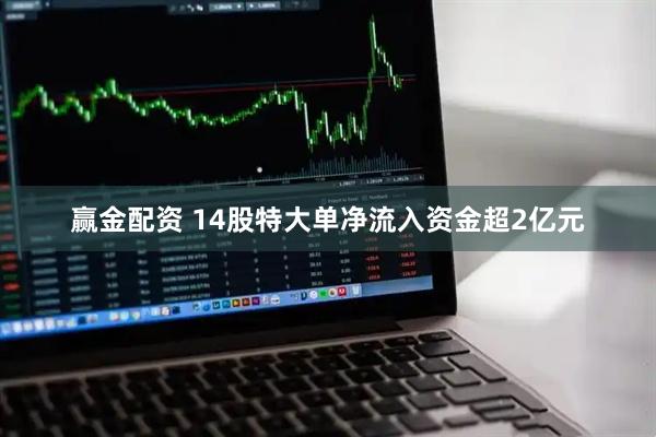 赢金配资 14股特大单净流入资金超2亿元